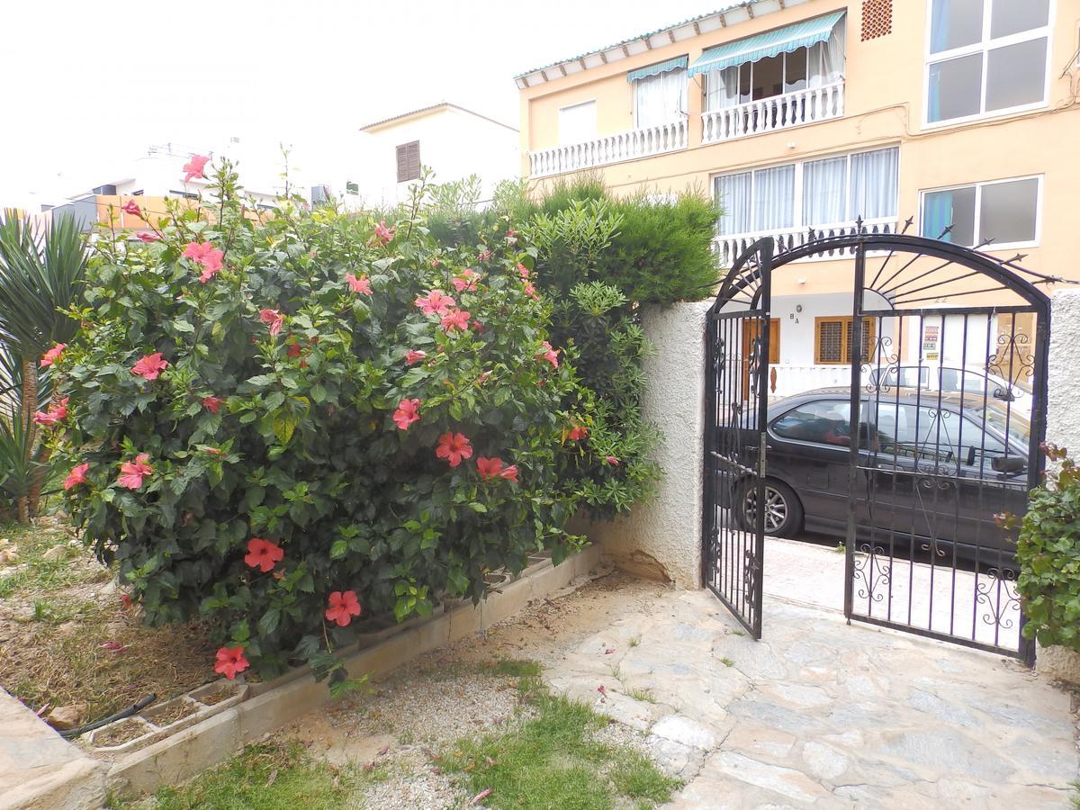 Alegria Id39 Daire Torrevieja Dış mekan fotoğraf